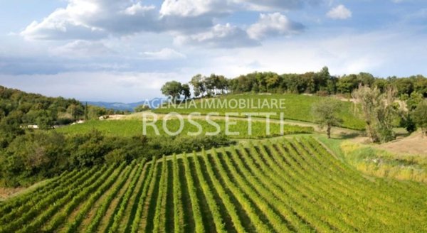 terreno agricolo in vendita a Cerreto Guidi in zona Corliano