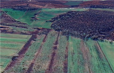 terreno agricolo in vendita a Cerreto Guidi in zona Stabbia