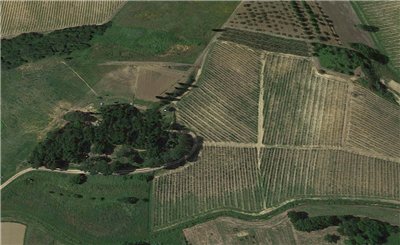 terreno agricolo in vendita a Cerreto Guidi
