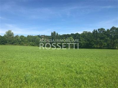terreno agricolo in vendita a Cerreto Guidi in zona Bassa