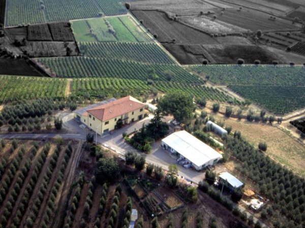 negozio in vendita a Cerreto Guidi