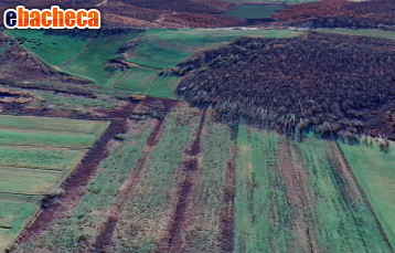 terreno agricolo in vendita a Cerreto Guidi in zona Stabbia