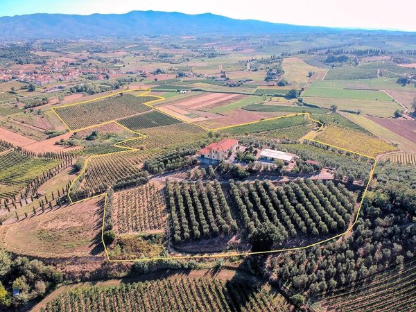 azienda agricola in vendita a Cerreto Guidi