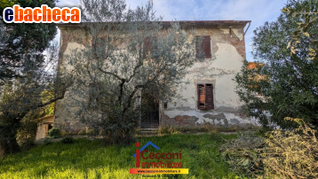 appartamento in vendita a Cerreto Guidi