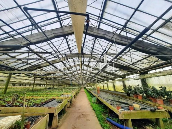 terreno agricolo in vendita a Cerreto Guidi in zona Bassa