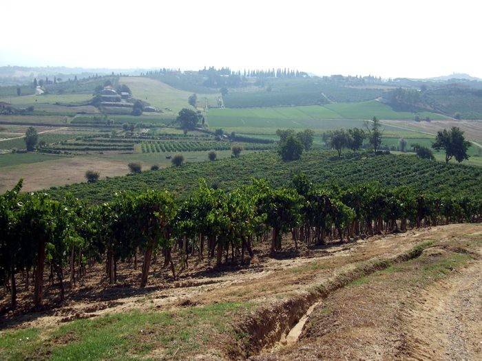 negozio in vendita a Cerreto Guidi