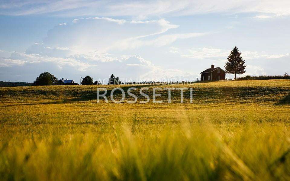 terreno agricolo in vendita a Cerreto Guidi in zona Gavena