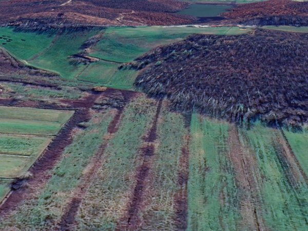terreno agricolo in vendita a Cerreto Guidi