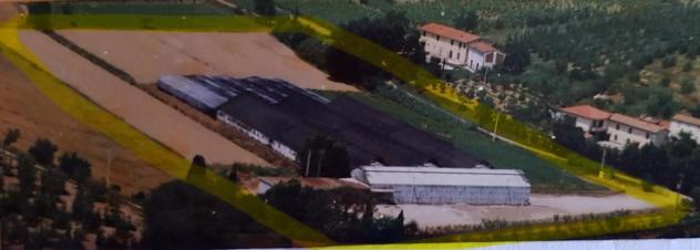 negozio in vendita a Cerreto Guidi in zona Gavena