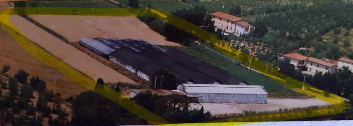 negozio in vendita a Cerreto Guidi in zona Gavena