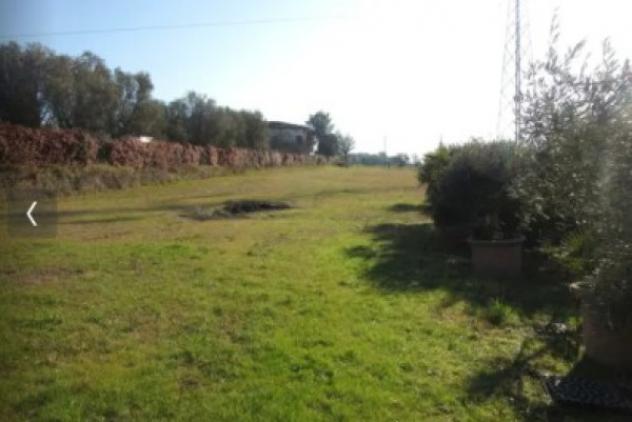 terreno agricolo in vendita a Cerreto Guidi
