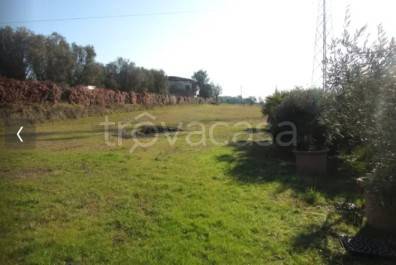 terreno agricolo in vendita a Cerreto Guidi