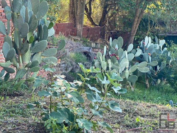 casa indipendente in vendita a Cerreto Guidi