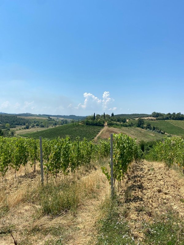 casa indipendente in vendita a Cerreto Guidi