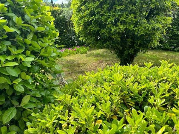 casa indipendente in vendita a Cerreto Guidi