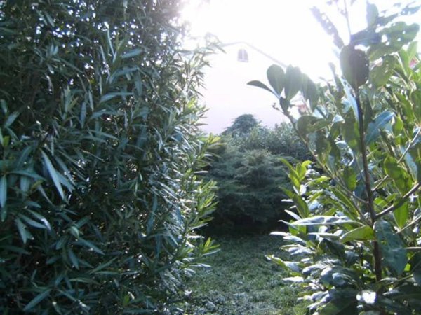 casa indipendente in vendita a Cerreto Guidi