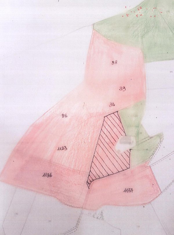 terreno agricolo in vendita a Cerreto Guidi