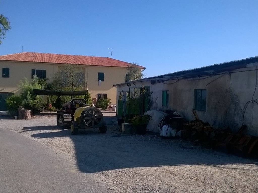 negozio in vendita a Cerreto Guidi