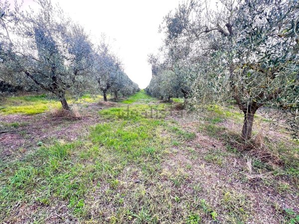 casa indipendente in vendita a Cerreto Guidi