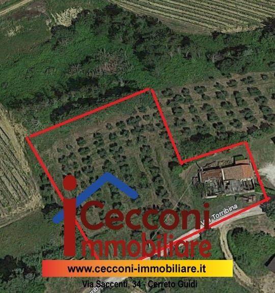terreno agricolo in vendita a Cerreto Guidi