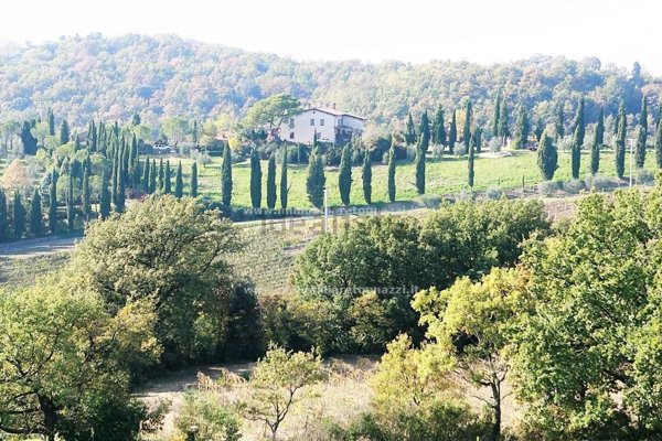 casa indipendente in vendita a Cerreto Guidi