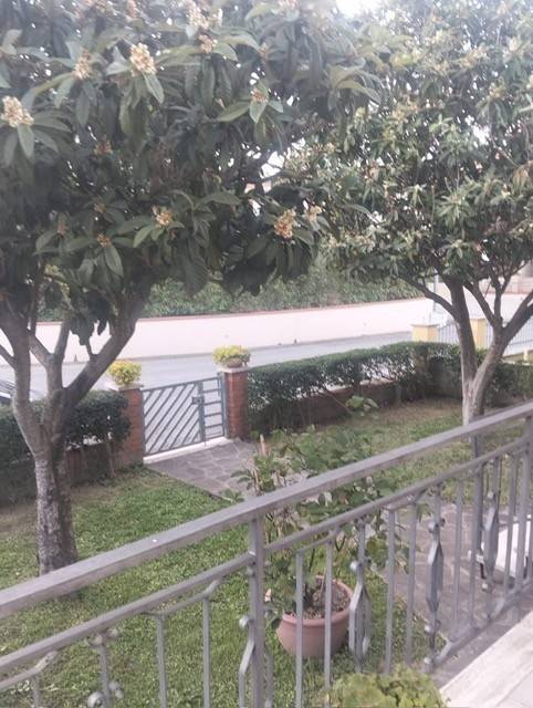 casa indipendente in vendita a Cerreto Guidi