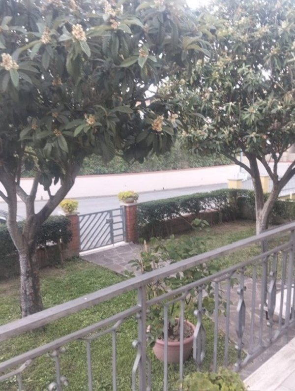 casa indipendente in vendita a Cerreto Guidi