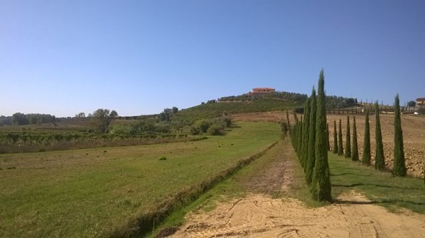 azienda agricola in vendita a Cerreto Guidi