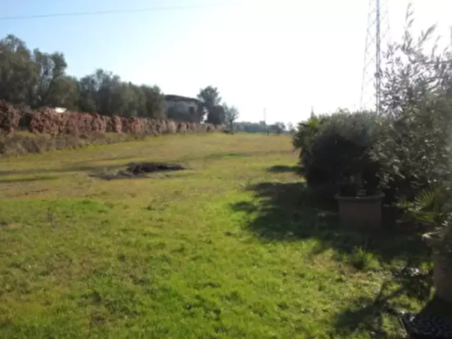 terreno agricolo in vendita a Cerreto Guidi