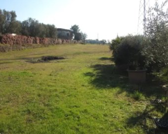terreno agricolo in vendita a Cerreto Guidi