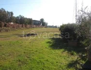 terreno agricolo in vendita a Cerreto Guidi