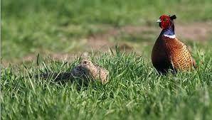 ufficio in vendita a Cerreto Guidi