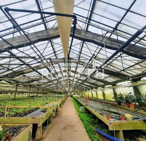 terreno agricolo in vendita a Cerreto Guidi in zona Bassa