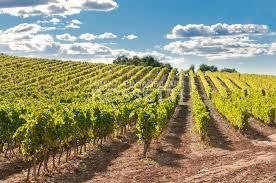 casa indipendente in vendita a Cerreto Guidi