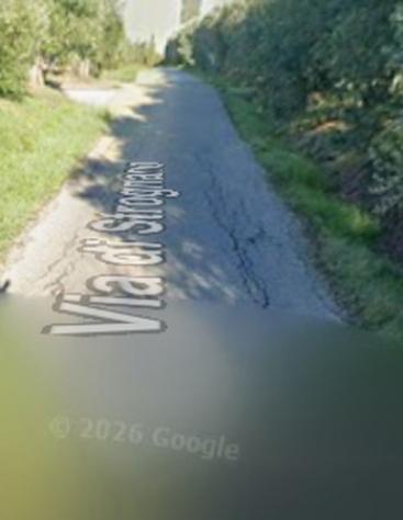 terreno agricolo in vendita a Cerreto Guidi