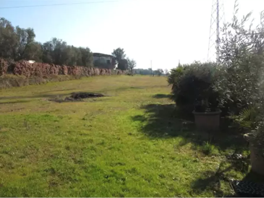 terreno agricolo in vendita a Cerreto Guidi