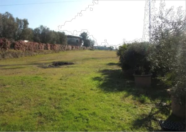 terreno agricolo in vendita a Cerreto Guidi