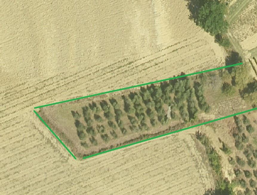 azienda agricola in vendita a Cerreto Guidi