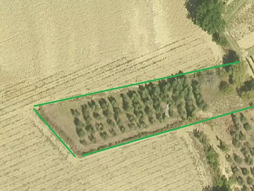 azienda agricola in vendita a Cerreto Guidi