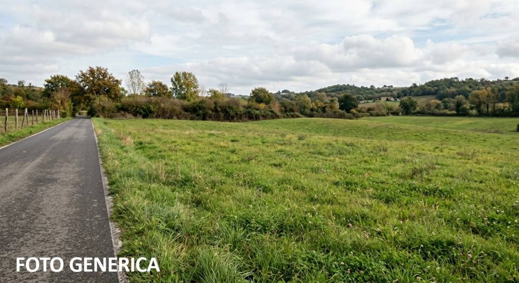 terreno agricolo in vendita a Cerreto Guidi in zona Stabbia