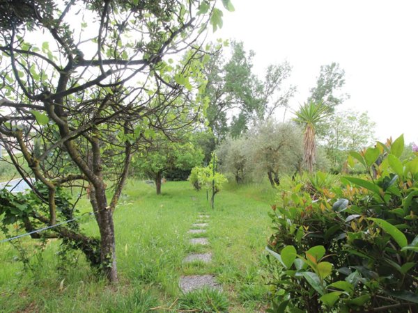 casa indipendente in vendita a Cerreto Guidi