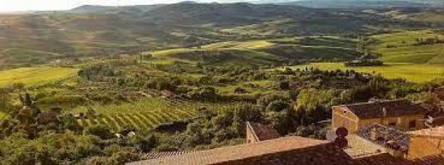terreno agricolo in vendita a Cerreto Guidi in zona Lazzeretto
