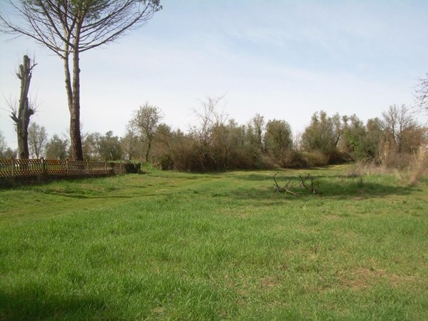 terreno agricolo in vendita a Cerreto Guidi in zona Lazzeretto