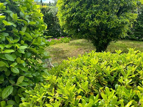 casa indipendente in vendita a Cerreto Guidi in zona Bassa