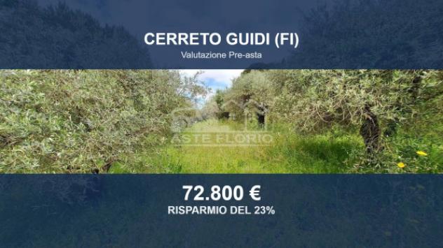 terreno agricolo in vendita a Cerreto Guidi