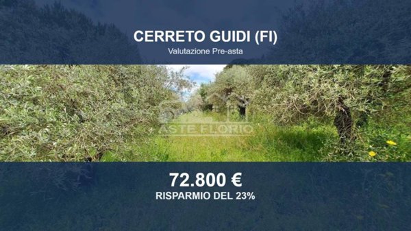 terreno agricolo in vendita a Cerreto Guidi
