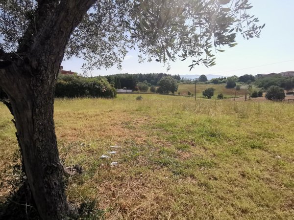 casa indipendente in vendita a Cerreto Guidi in zona Stabbia