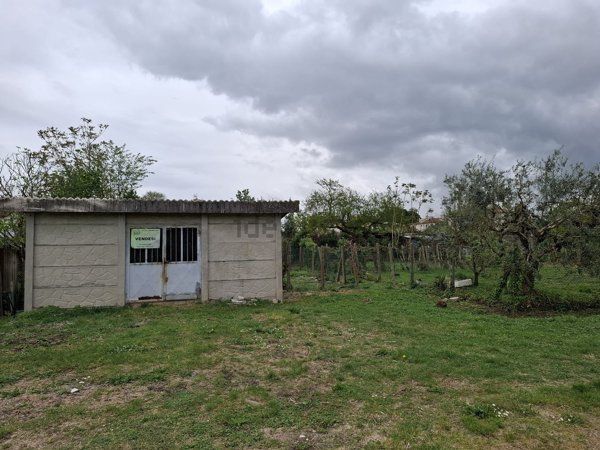 terreno in vendita a Cerreto Guidi in zona Bassa