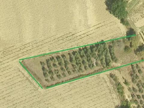 terreno agricolo in vendita a Cerreto Guidi