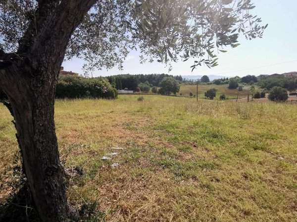 terreno in vendita a Cerreto Guidi in zona Stabbia